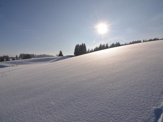 Scheideggs Winterlandschaft