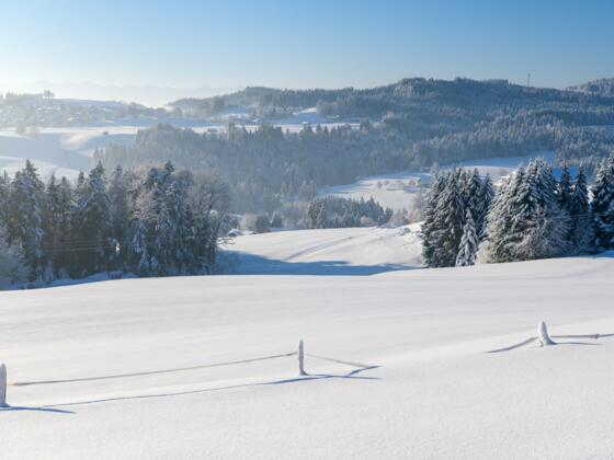 Scheidegg im Winter