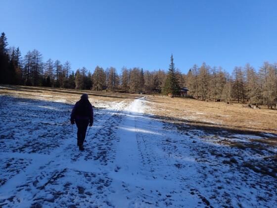 Am Weg zum Lärchriegel