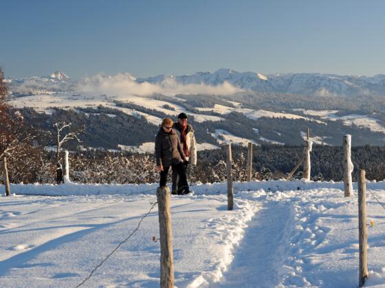 Höhenweg im Winter