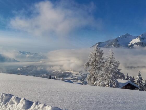 Ausblick am Ludescherberg