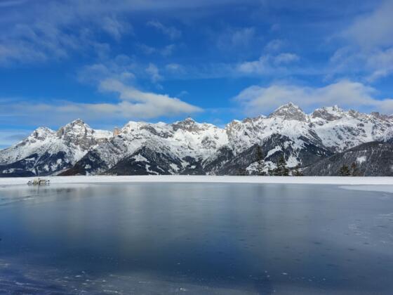 winterlicher Prinzensee