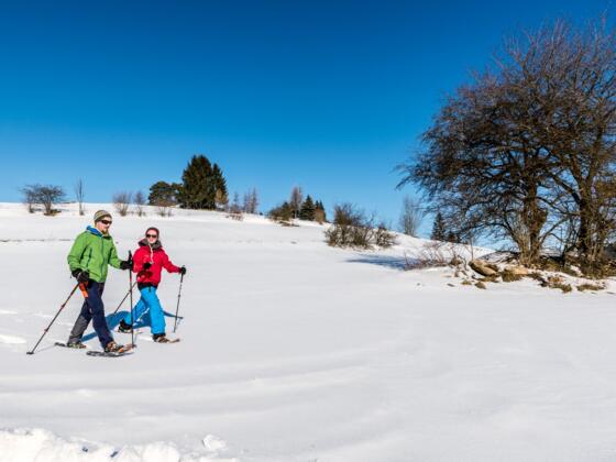 Schneeschuhwanderer04_TVBMuehlviertlerAlmFreistadtHawlan.jpg