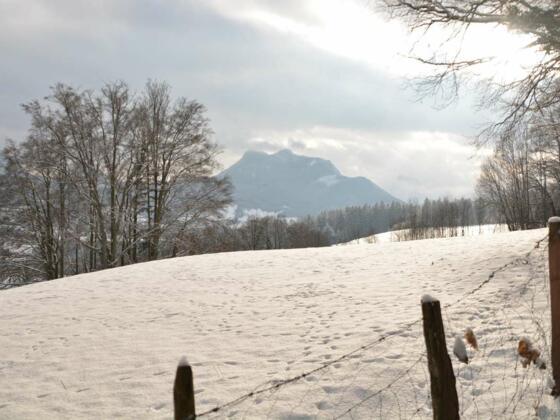 Winterlandschaft Samerberg