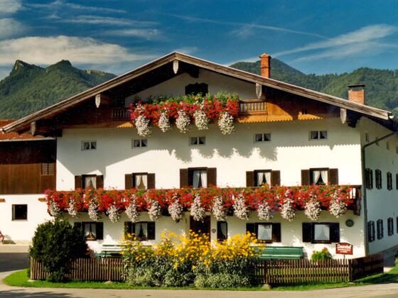 Bauernhof Daurerhof Hofansicht