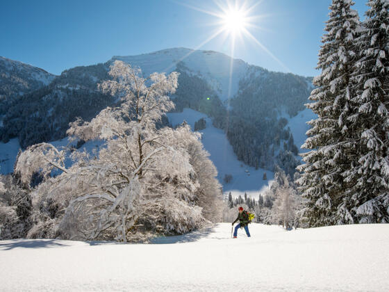 Winterzauber vor dem Hochgrat