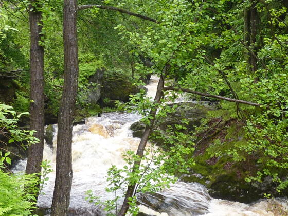 Steinklamm