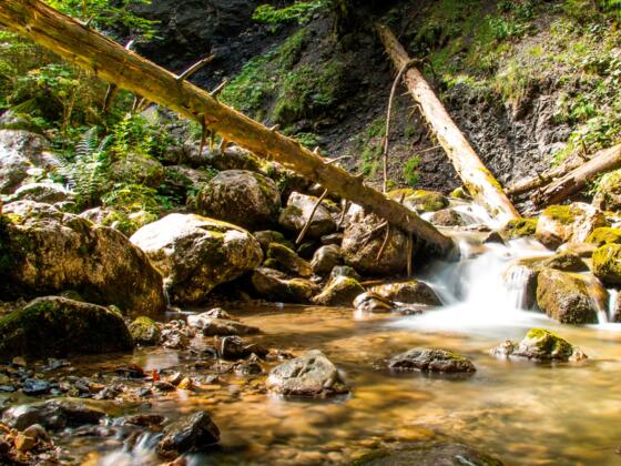 Die Reichenbachklamm