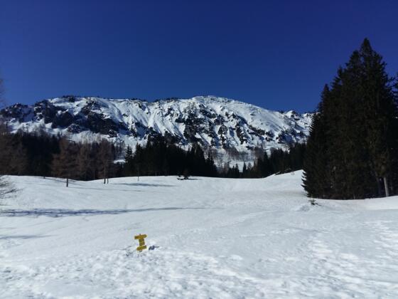 Schneeschuhtour - Schüttbauernalm (von Niglalm)