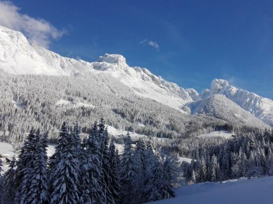 Gosaukamm im Winter
