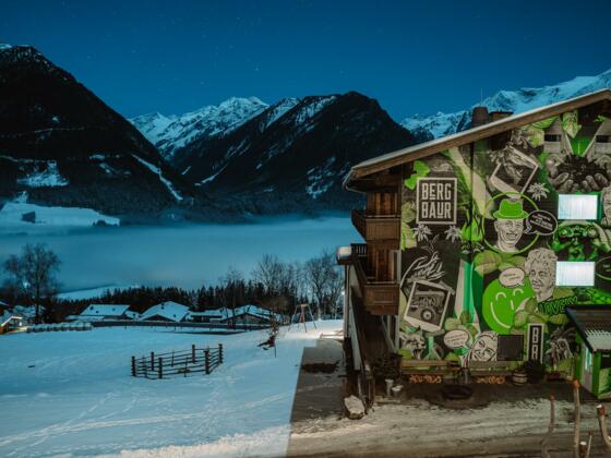 Bergbaur_Winteransicht Mural