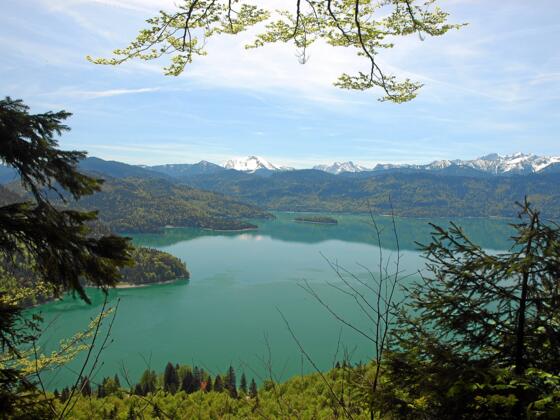 Blick vom Reitweg auf den Walchensee