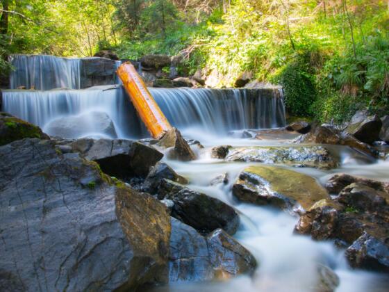 Höllschlucht in Pfronten