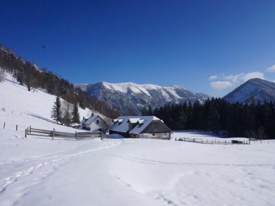 Schneeschuhtour - Gschwendtalm-Gamsstein