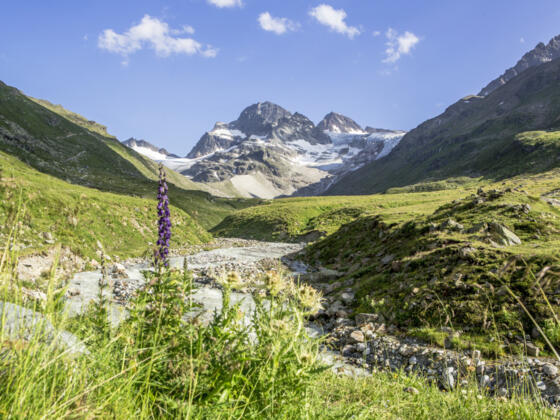 Piz Buin