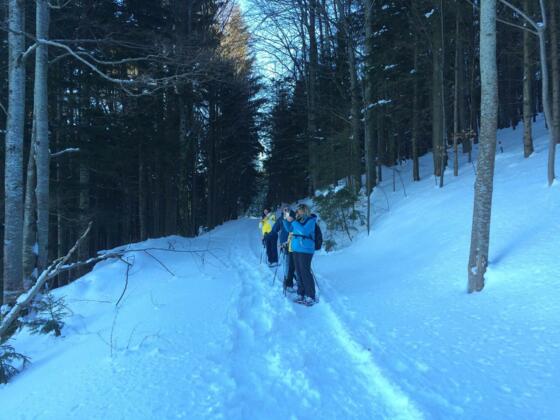 Schneeschuhwandern am Glasenberg