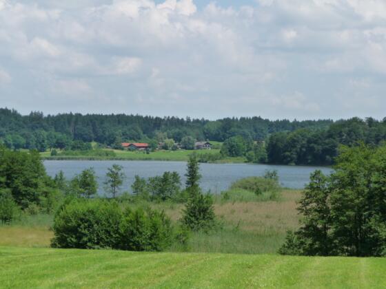 Pelhamer See