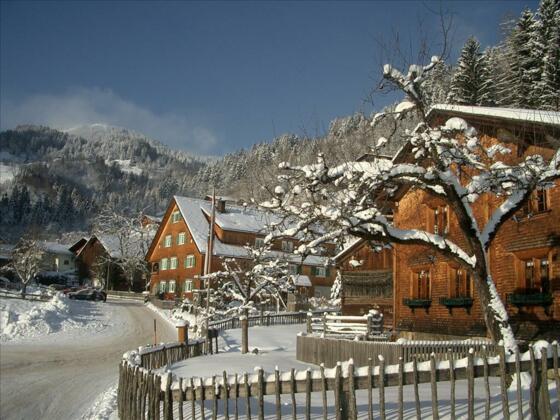 Museum mit Schäfle und Skigebiet
