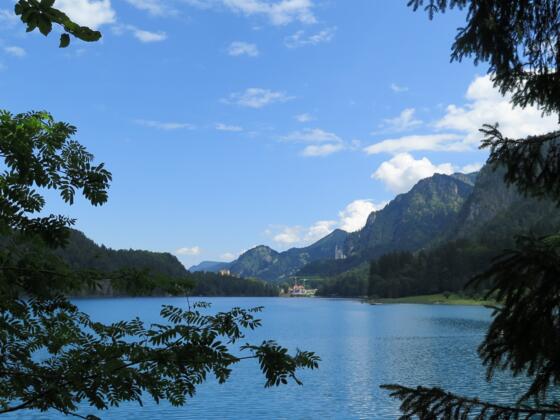 Der Alpsee