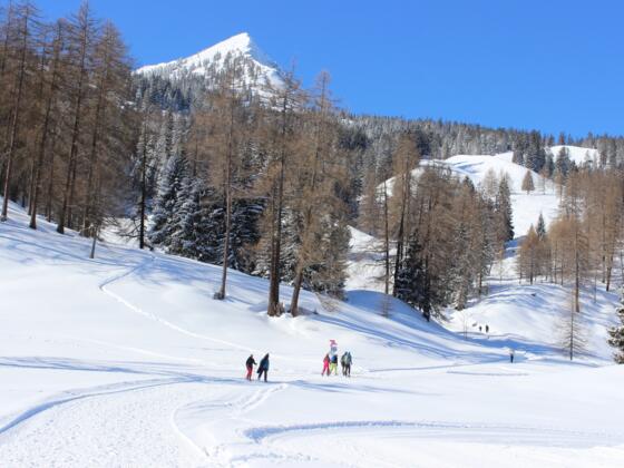 Vorbei an der Alpe Rona, hinauf Richtung Glinzgieck