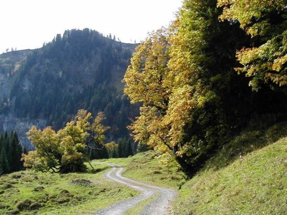 Alpe Untergüntenstall