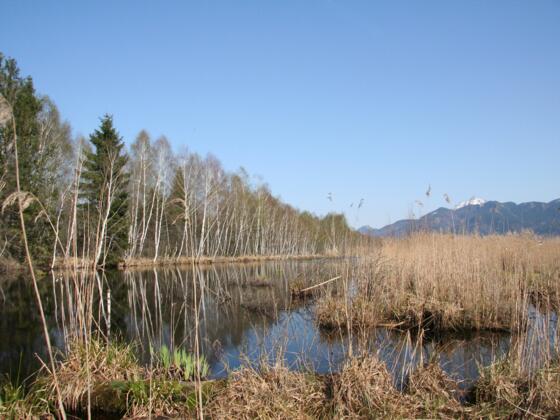 Das Hochmoorgebiet Kendlmühlfilzen.