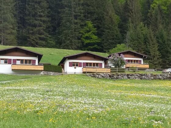 Bungalow - Chalet - Ferienhaus Sommer
