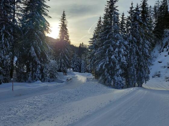 Winterwandern im Neubachtal