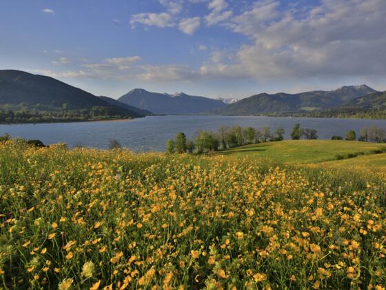 Blick von Kaltenbrunn auf den Tegernsee