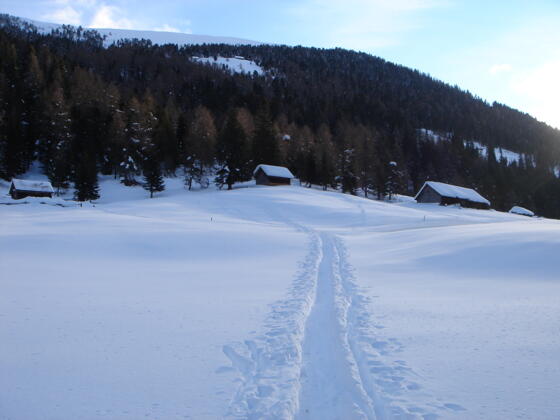 Die Hütten der Unteren Seifteralm