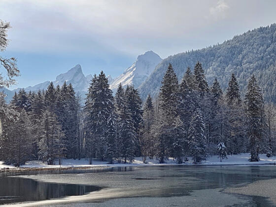 Böcklweiher