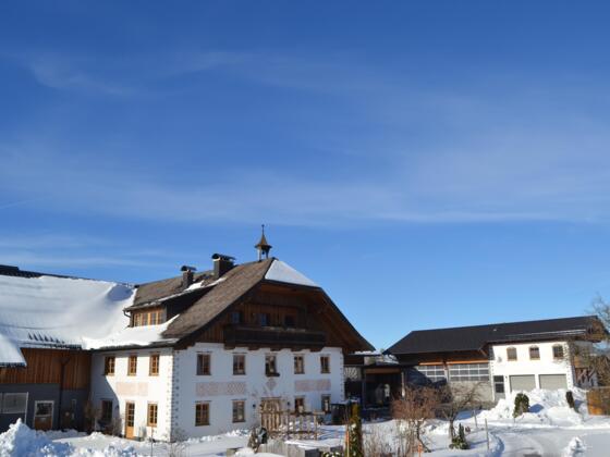 20210521_VorderreithbauerAussen_008-Pano_klein