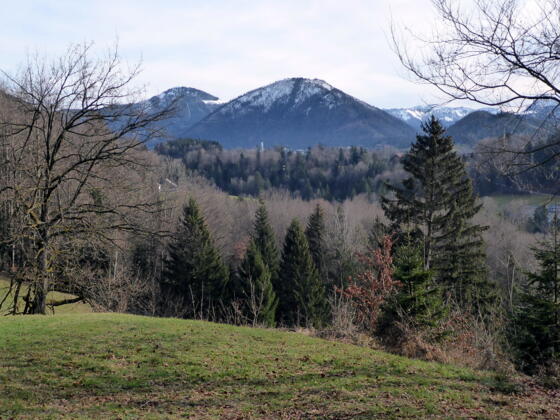 Der Rückblick von der Siederhöhe nach Faistenau.
