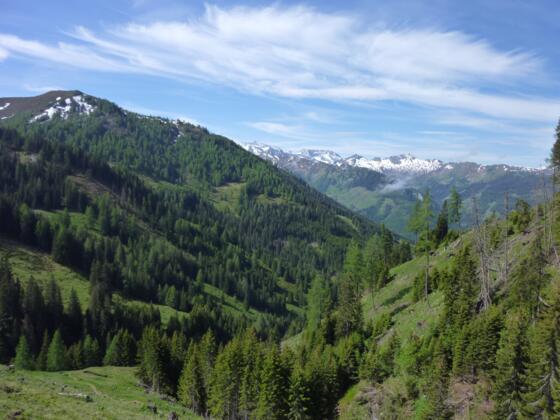 Aufstieg zur Draugsteinalm