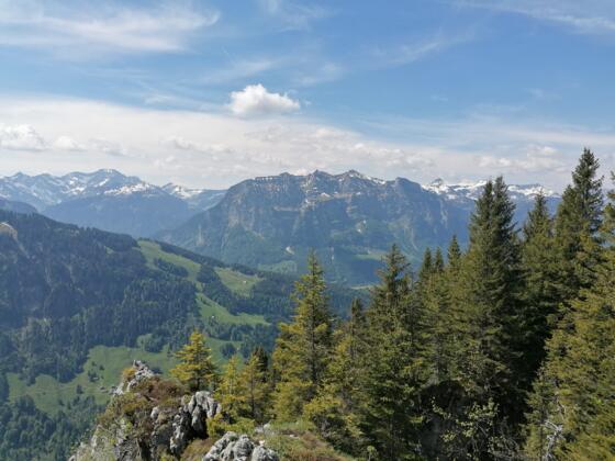 Ausblick vom Hälekopf Richtung Kanisfluh