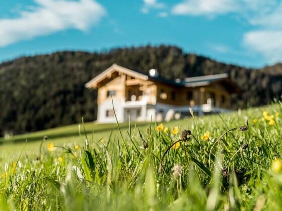 Neues Haus - Appartements