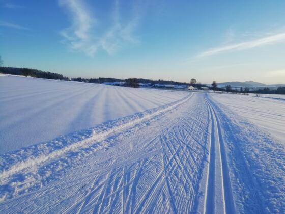 16Breitauloipe_Sonnberg_20221218_152051