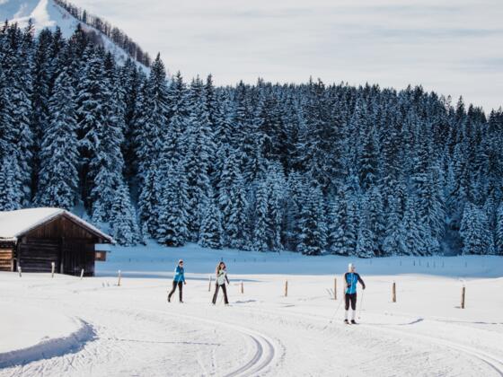 Langlaufen Postalm