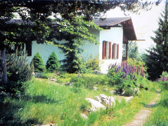 Steinwaldhütte im Sommer