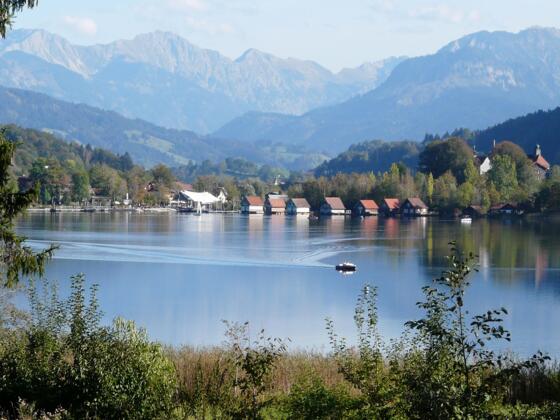 Großer Alpsee