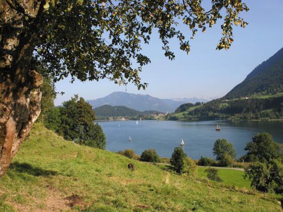Blick auf den Großen Alpsee
