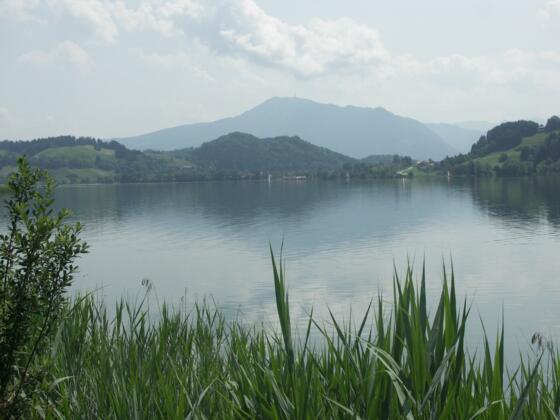 Großer Alpsee