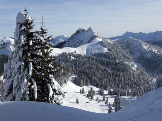 Blickfang auf dem Schönberggipfel sind Roß- und Buchstein