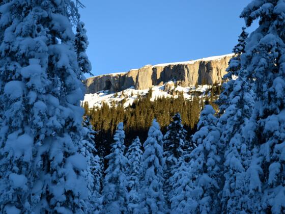 Auf dem Weg zur Schwarzwasserhütte.