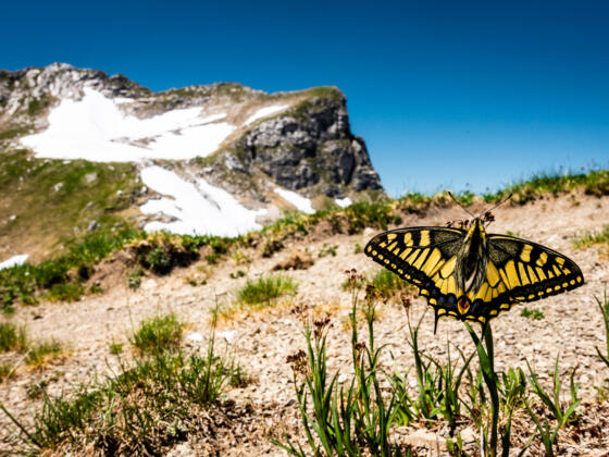Blick zum Kleinen Daumen