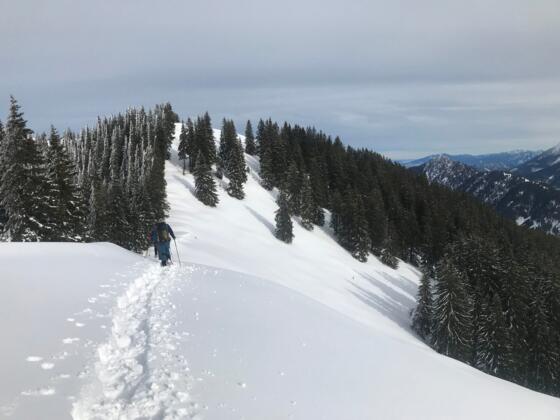 Auf Schneeschuhen zum Wertacher Hörnle