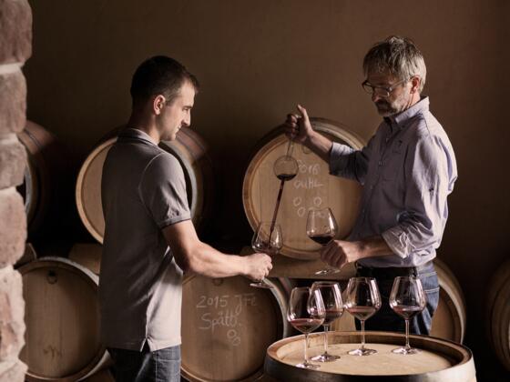 Weingut Stich &quot;Im Löwen&quot;