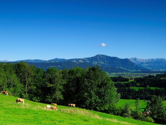 _DSC0178-Ausblick vom Stoffelberg