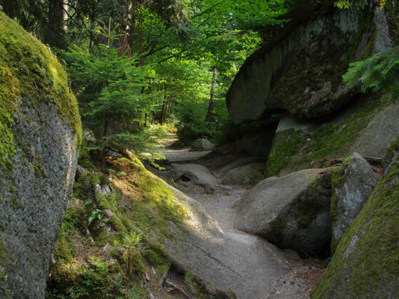 Burgschlucht