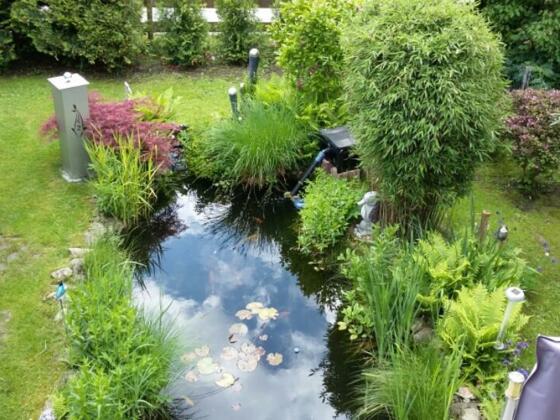 Unser Garten mit Teich im Sommer